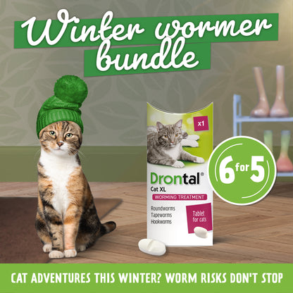 6x Drontal Wormer Tablets for Large Cats (Over 4kg)
