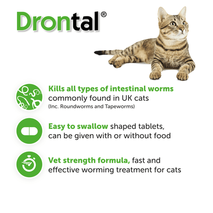 6x Drontal Wormer Tablets for Large Cats (Over 4kg)
