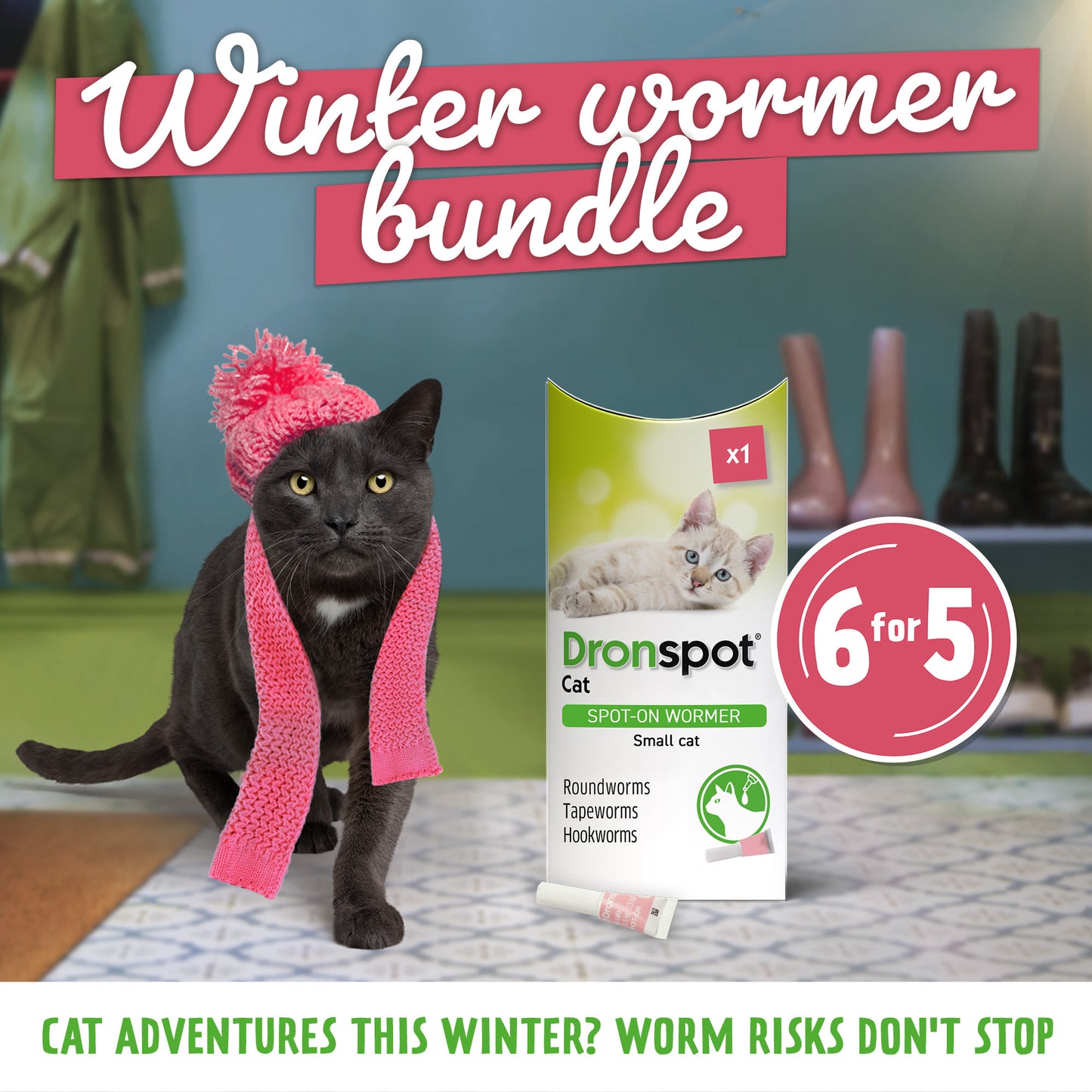 6x Dronspot Spot On Worming Solution for Small Cats (0.5-2.5kg)