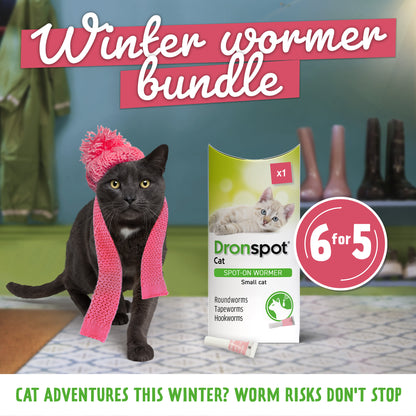 6x Dronspot Spot On Worming Solution for Small Cats (0.5-2.5kg)