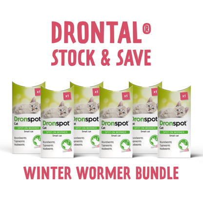 6x Dronspot Spot On Worming Solution for Small Cats (0.5-2.5kg)