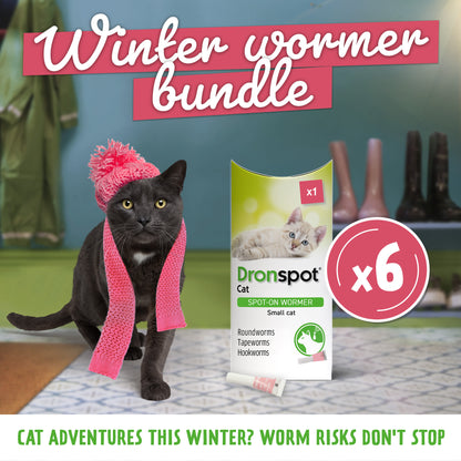 6x Dronspot Spot On Worming Solution for Small Cats (0.5-2.5kg)