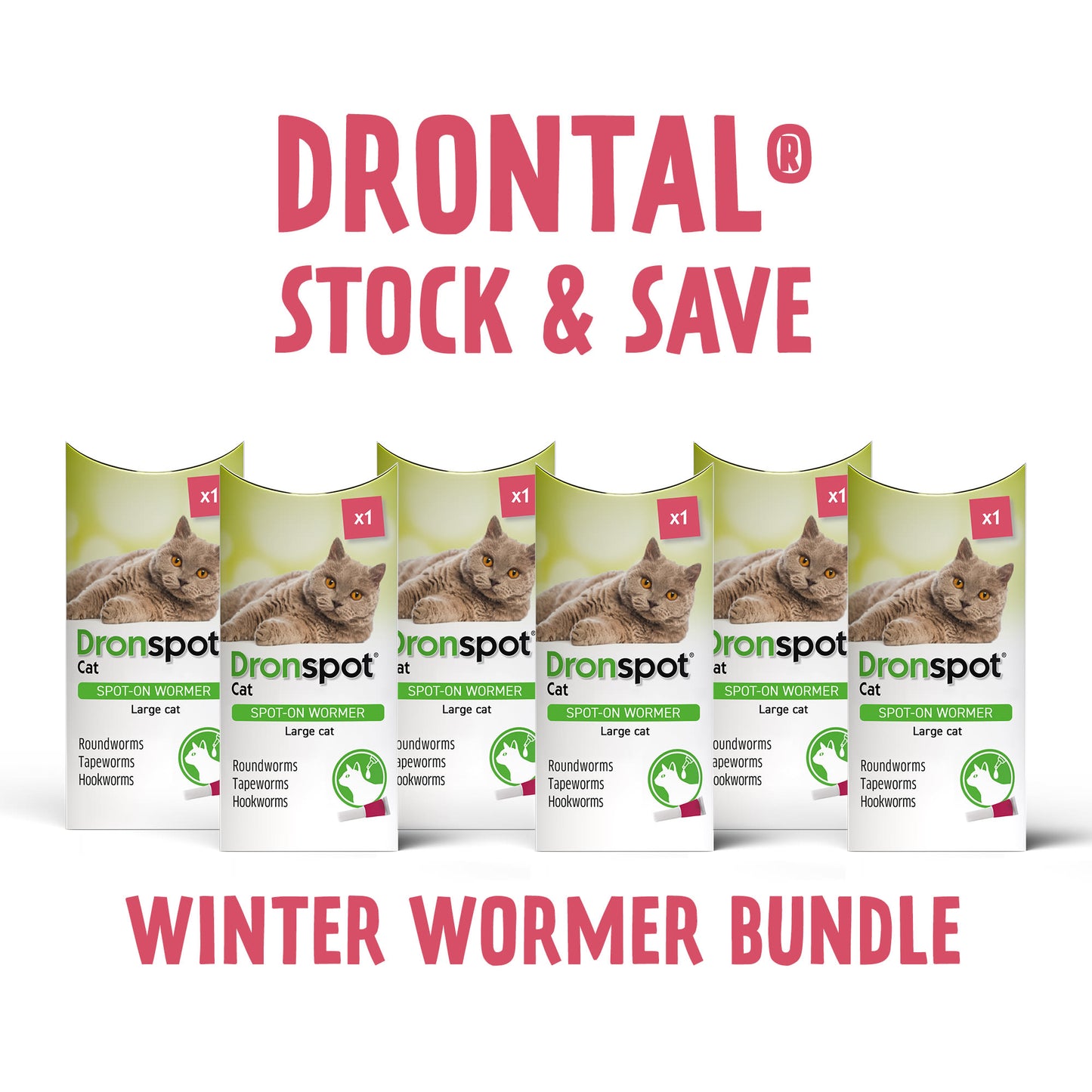 6x Dronspot Spot On Worming Solution for Large Cats (5-8kg)