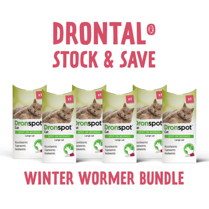 6x Dronspot Spot On Worming Solution for Large Cats (5-8kg)