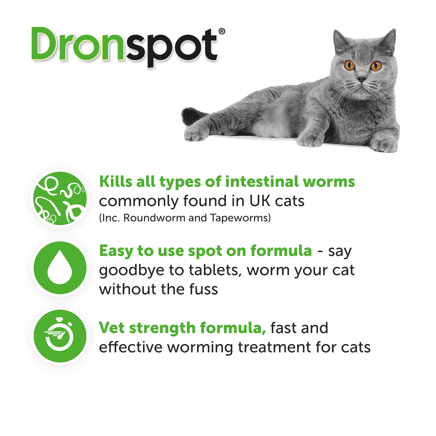6x Dronspot Spot On Worming Solution for Large Cats (5-8kg)