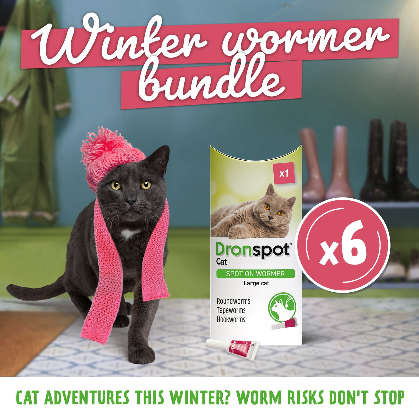 6x Dronspot Spot On Worming Solution for Large Cats (5-8kg)