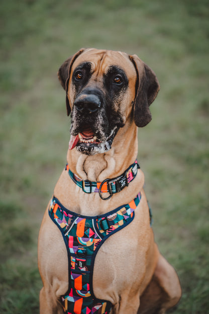 Twiggy Tags Adventure Aurora Multicolour Dog Collar