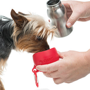KONG H2O Stainless Steel Red Dog Water Bottle