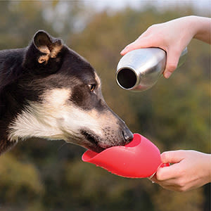 KONG H2O Stainless Steel Red Dog Water Bottle