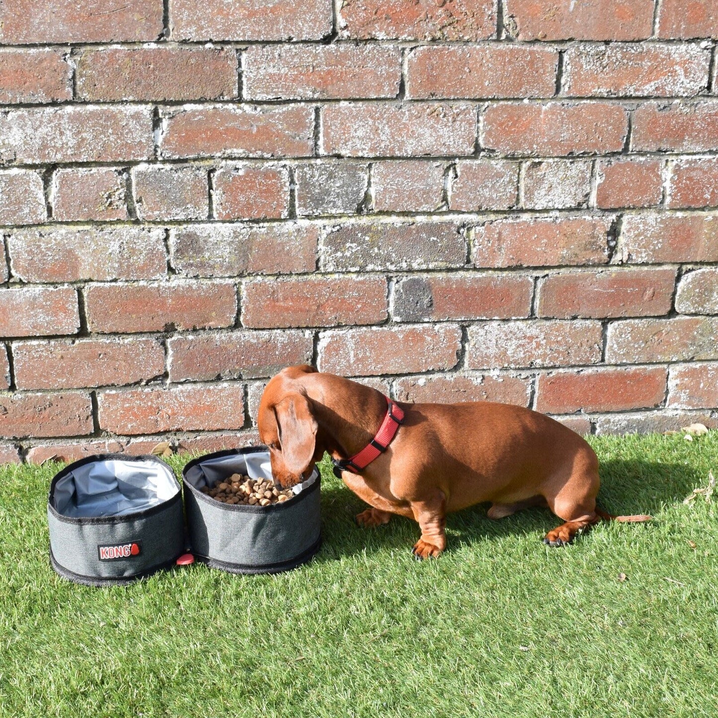 KONG Travel Fold-Up Dog Double Bowl