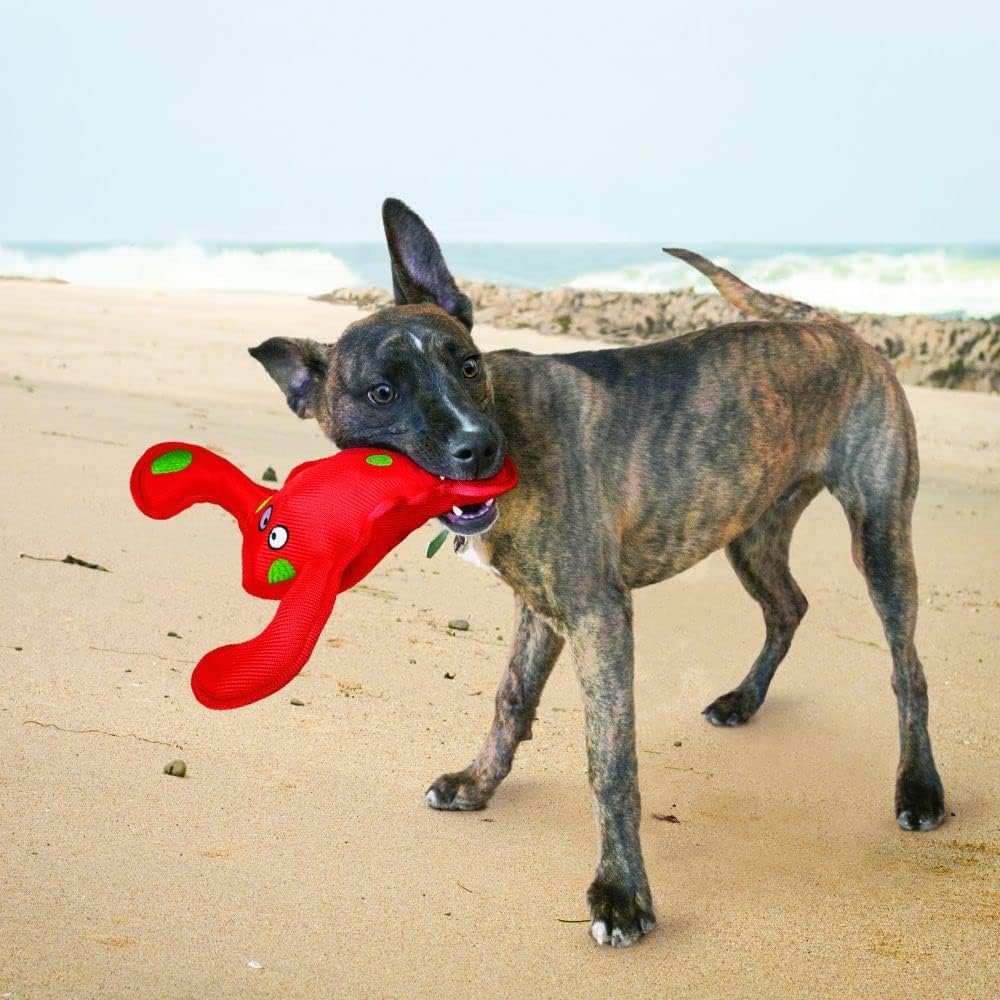 KONG Belly Flops Lobster Red Dog Toy
