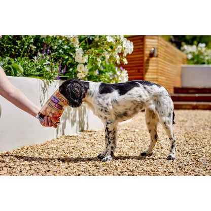 Yakers Adult Crunchy Strips Dog Treats - Cheese