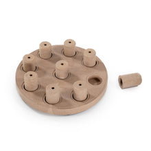 Nina Ottosson Smart Composite Puzzle Dog Toy