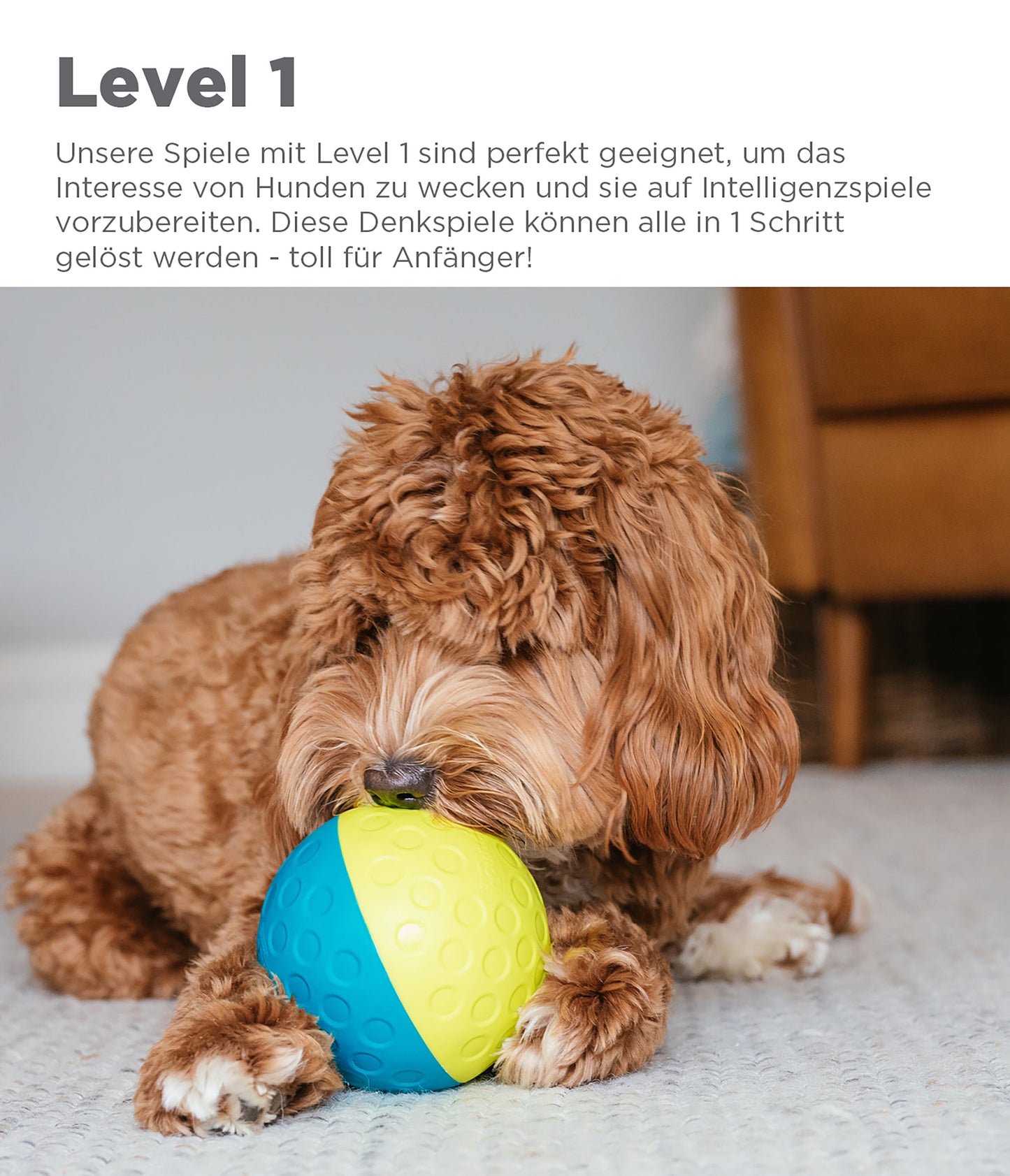 Nina Ottosson Treat Tumble Blue Puzzle Dog Toy