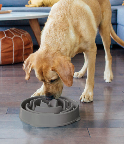 Outward Hound Feeder Drop Grey Dog Bowl