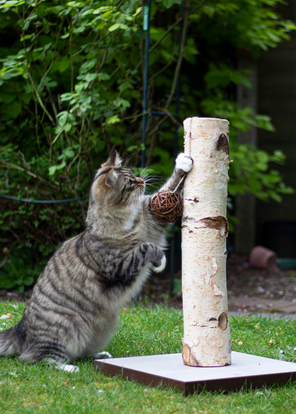 Rosewood Naturals Activity Tree Cat Toy