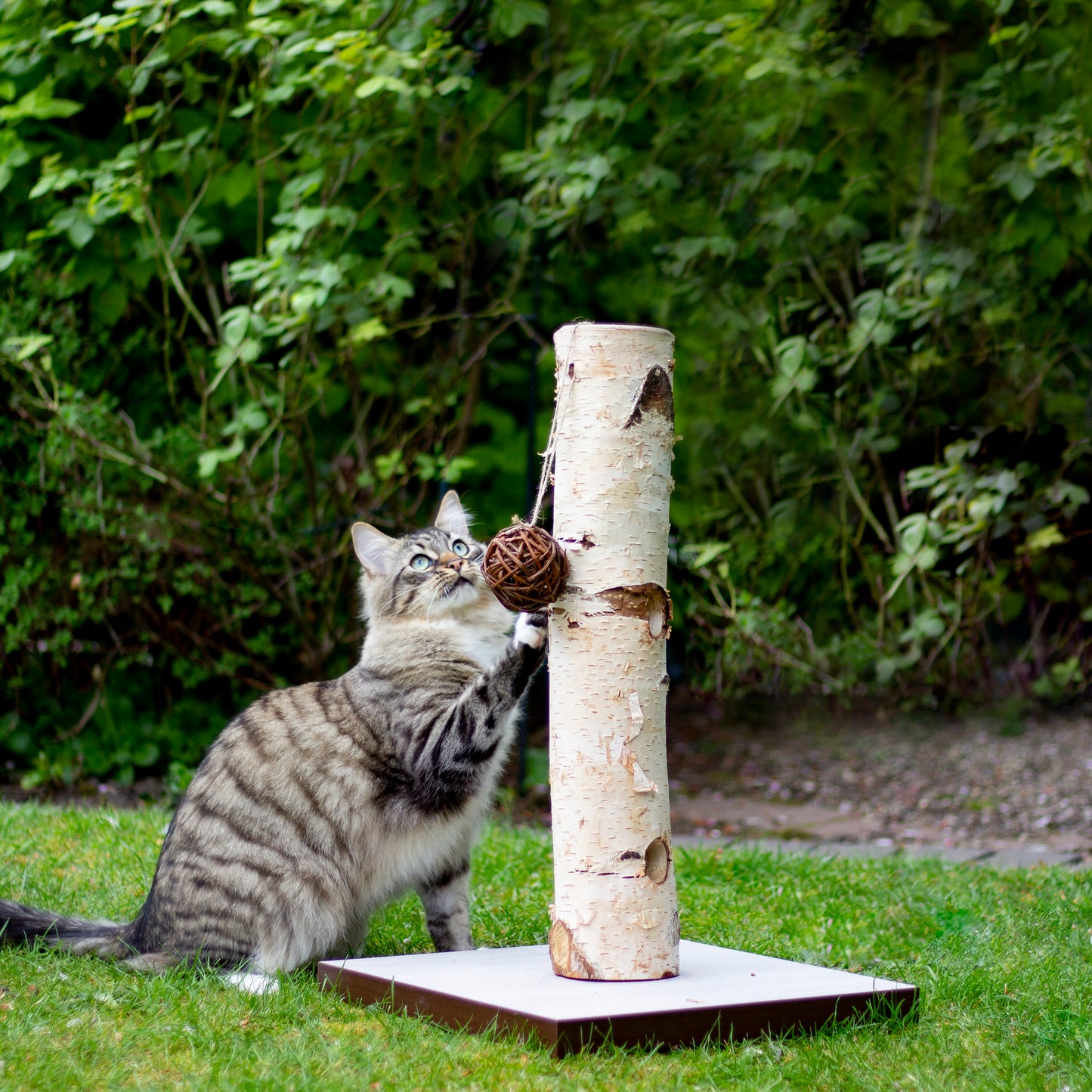 Rosewood Naturals Activity Tree Cat Toy