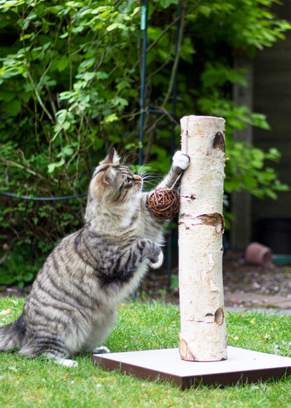 Rosewood Naturals Activity Tree Cat Toy