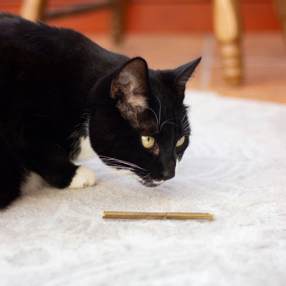 Rosewood Naturals Catnip Sticks Cat Toy