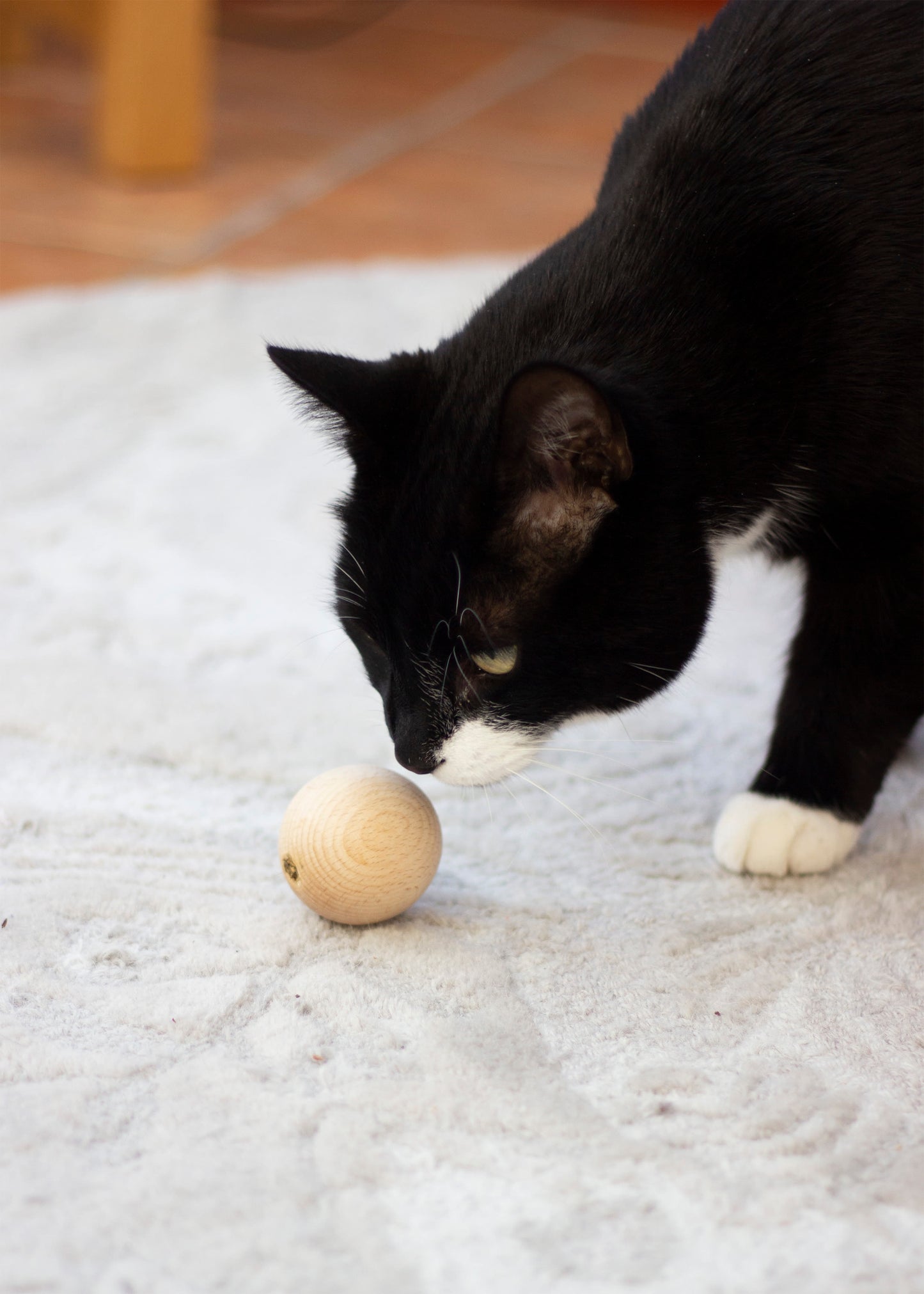 Rosewood Naturals Catnip Wooden Ball Cat Toy