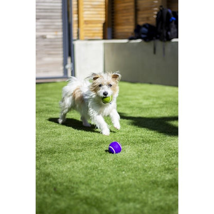 Rosewood Battersea Squeaky Tennis Balls Dog Toy