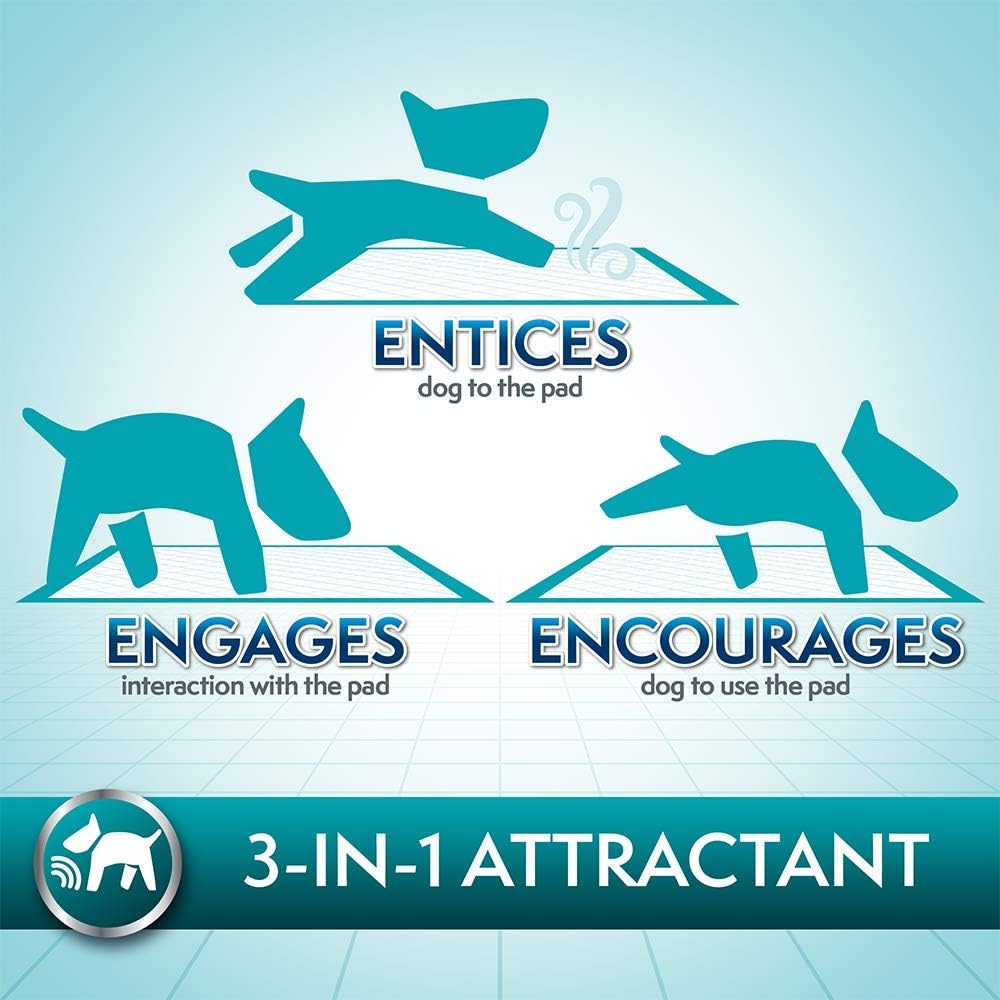 Simple Solution Puppy Training Pads - Extra Large