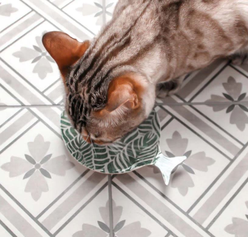 Tarhong Safari Cat Dish