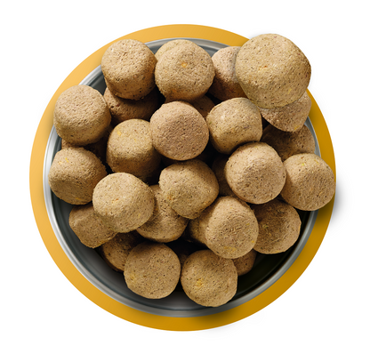 Natures Menu Complete and Balanced Adult Chicken Dry Dog Food