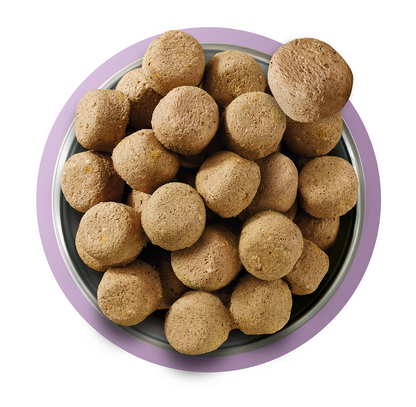 Natures Menu Complete and Balanced Adult Turkey Dry Dog Food