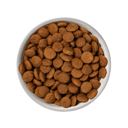 Natures Variety Selected Medium Adult Dry Dog Food - Salmon