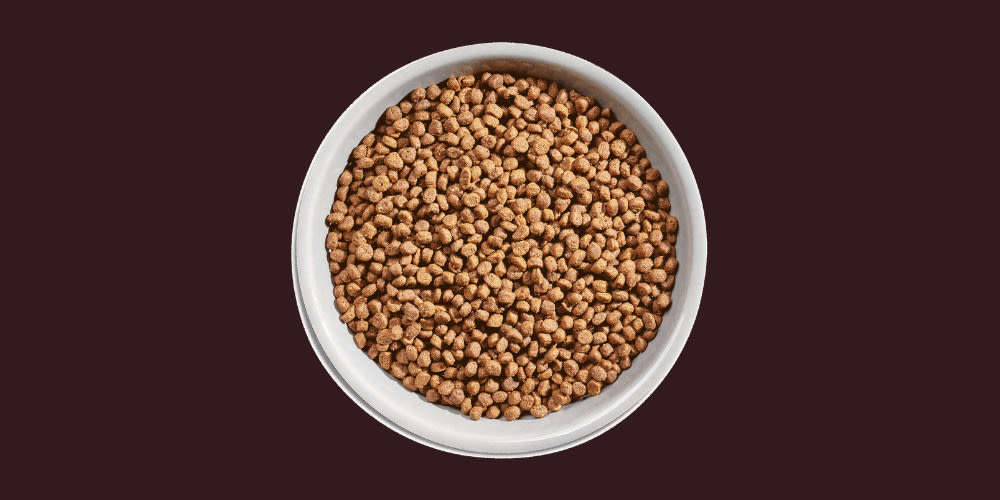 Natures Variety Selected Kitten Chicken Dry Cat Food