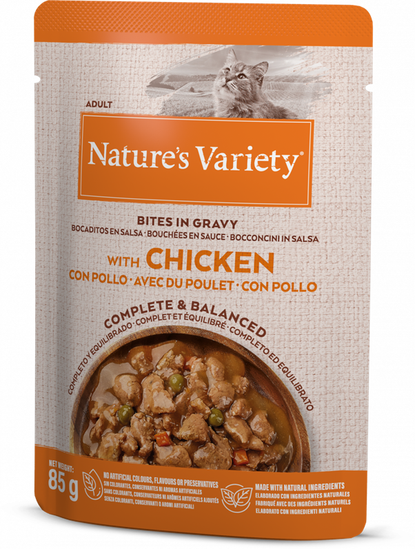 Natures Variety Adult Salmon Pouch Wet Cat Food
