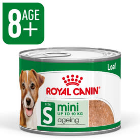 Royal Canin Mini Ageing 8+ Senior Wet Dog Food in Loaf