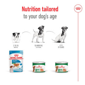Royal Canin Mini Ageing 8+ Senior Wet Dog Food in Loaf