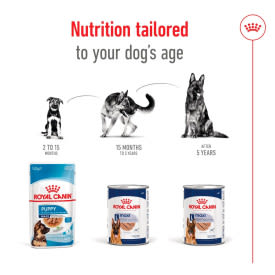 Royal Canin Maxi Ageing 5+ Senior Wet Dog Food in Loaf