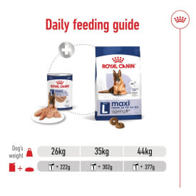 Royal Canin Maxi Ageing 5+ Senior Wet Dog Food in Loaf