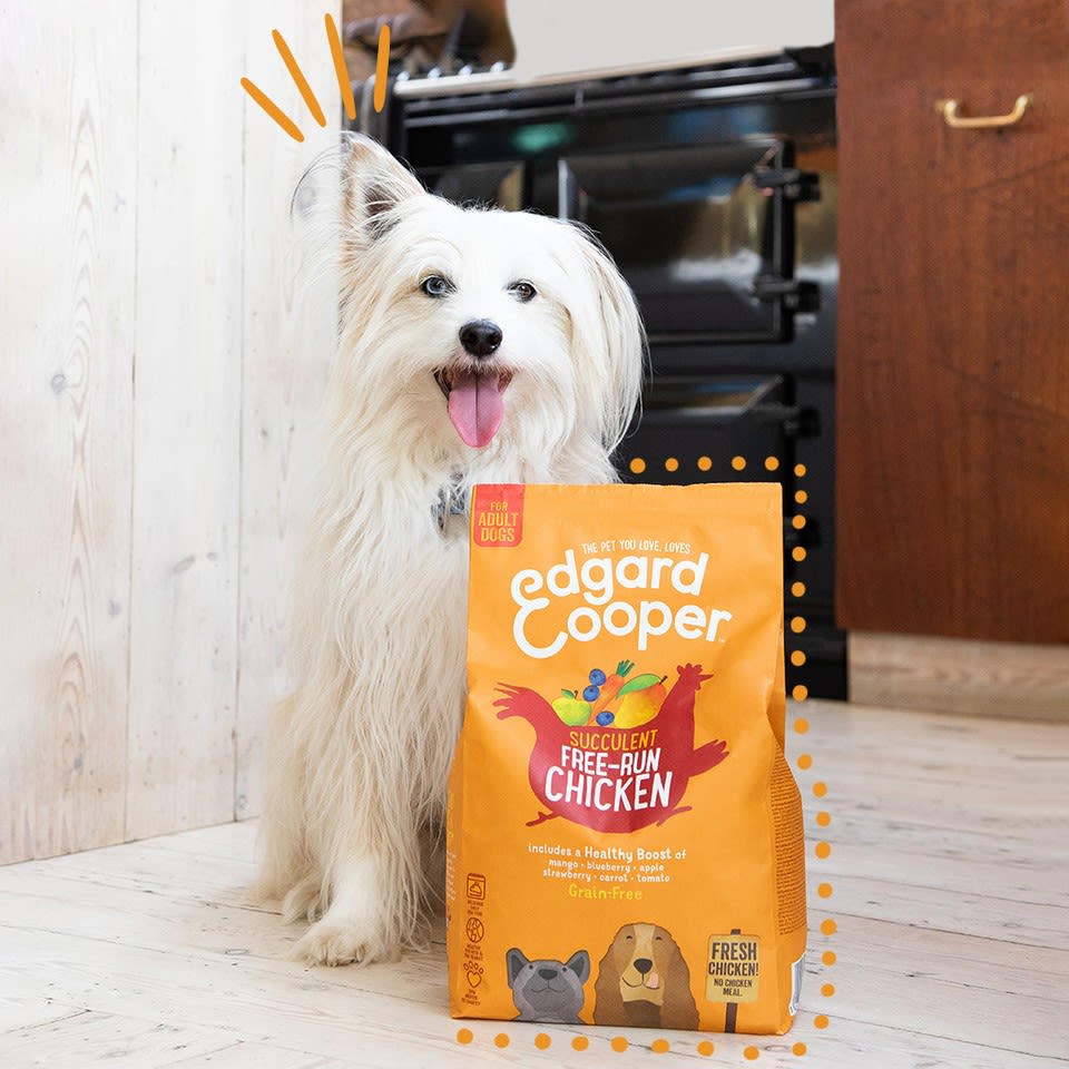 Edgard Cooper Grain Free Adult Chicken Dry Dog Food