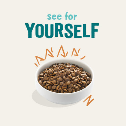 Edgard Cooper Grain Free Adult Chicken Dry Dog Food