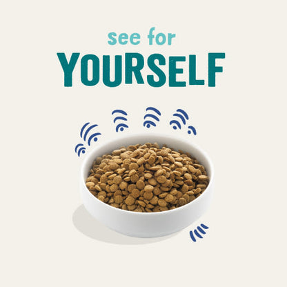 Edgard Cooper Grain Free Norwegian Adult Salmon Dry Dog Food