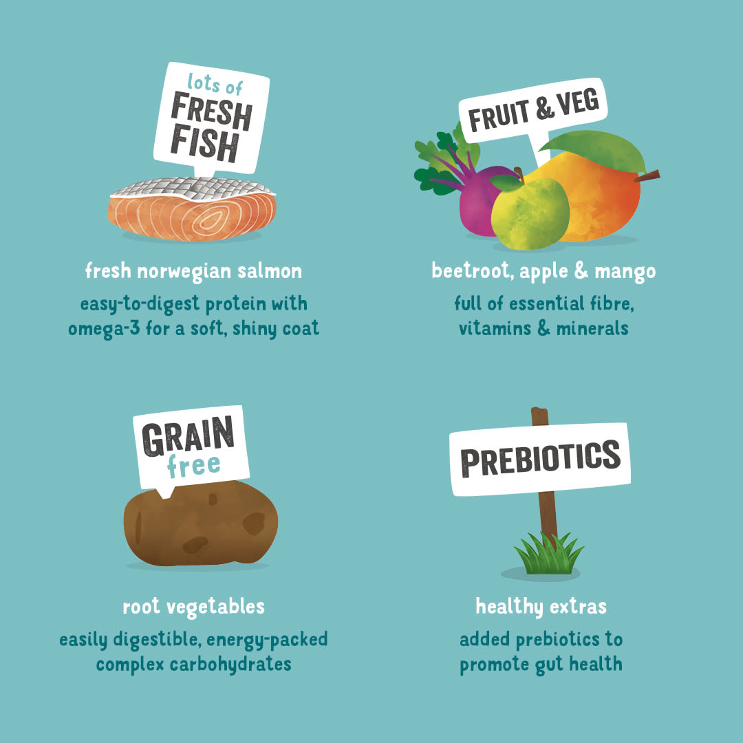 Edgard Cooper Grain Free Norwegian Adult Salmon Dry Dog Food