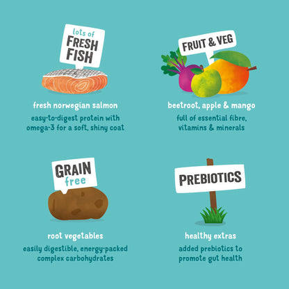 Edgard Cooper Grain Free Norwegian Adult Salmon Dry Dog Food