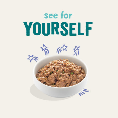 Edgard Cooper Grain Free Adult Beef & Duck Wet Dog Food