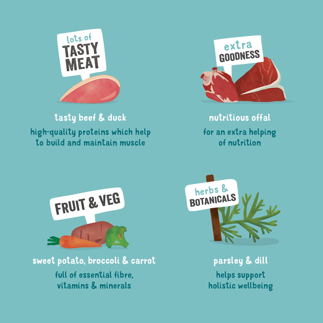 Edgard Cooper Grain Free Adult Beef & Duck Wet Dog Food