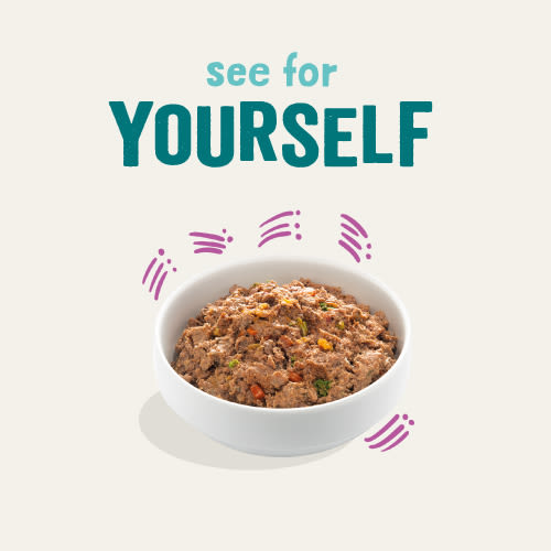 Edgard Cooper Grain Free Adult Game & Duck Wet Dog Food