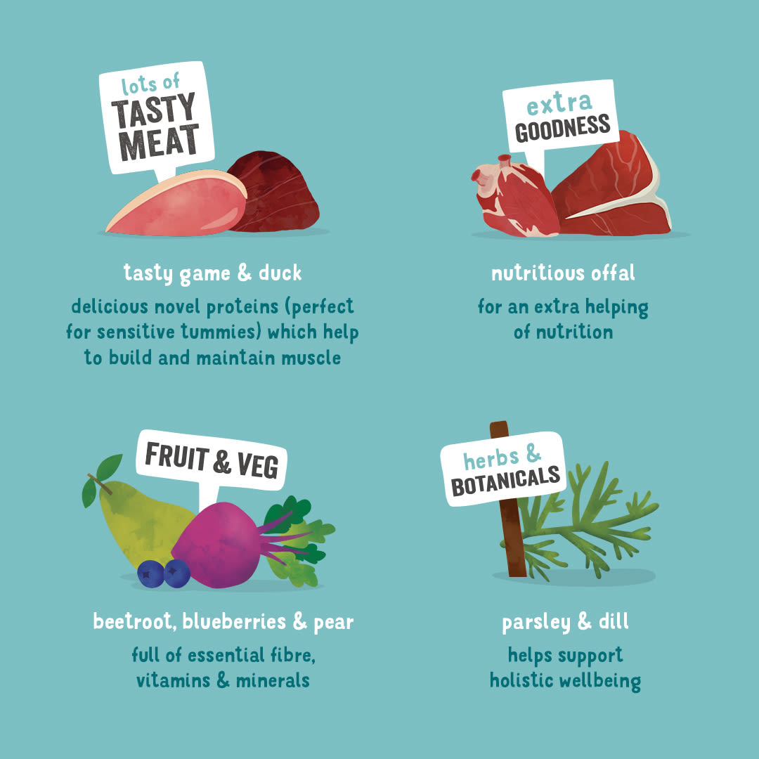 Edgard Cooper Grain Free Adult Game & Duck Wet Dog Food