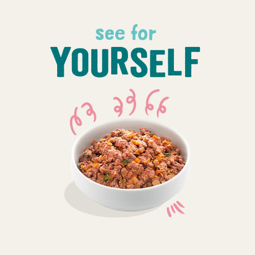 Edgard Cooper Grain Free Puppy Duck & Chicken Wet Dog Food