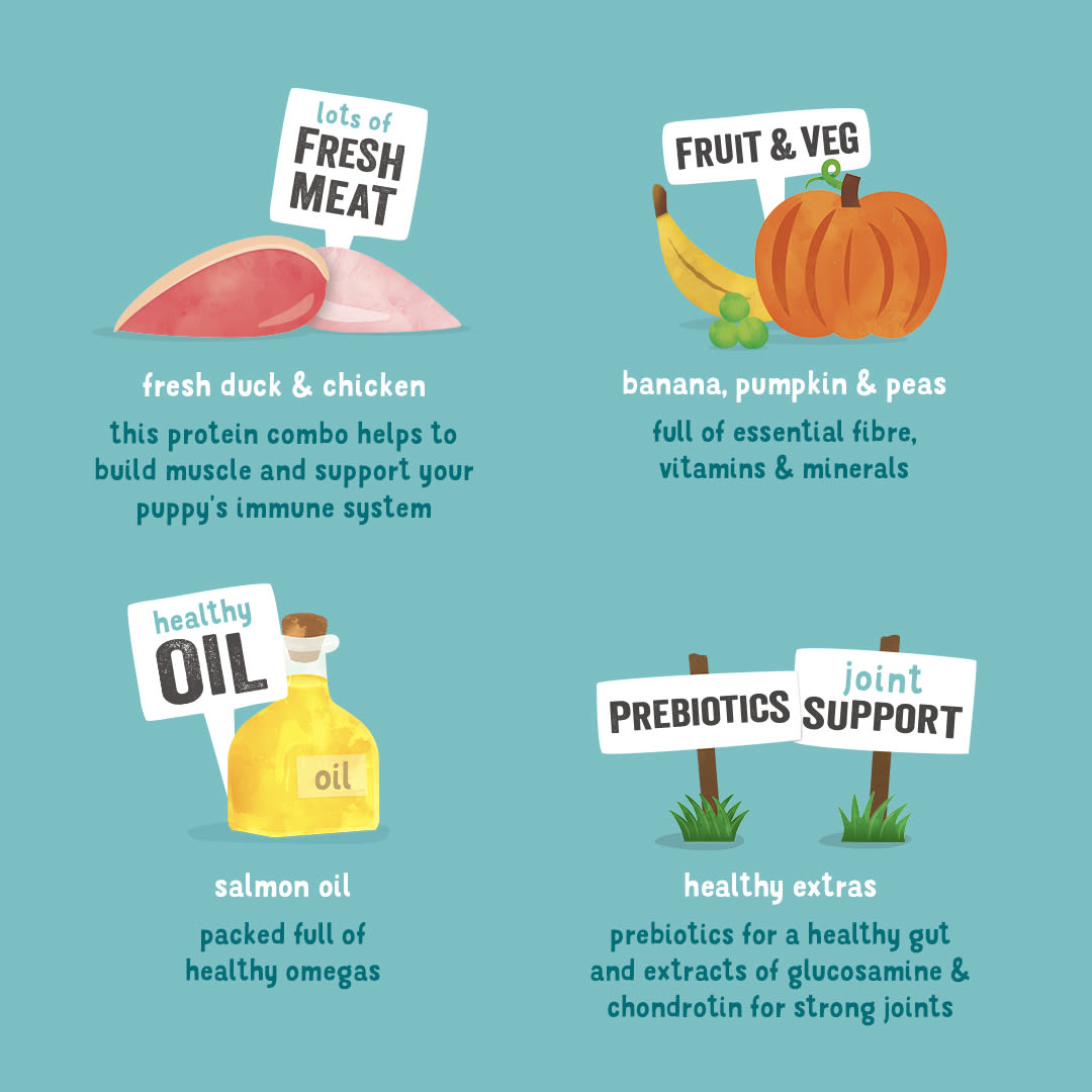 Edgard Cooper Grain Free Puppy Duck & Chicken Wet Dog Food