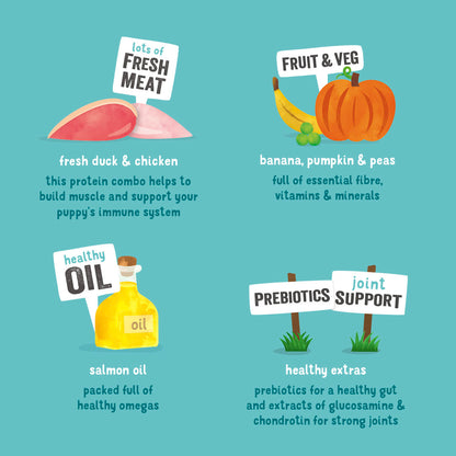 Edgard Cooper Grain Free Puppy Duck & Chicken Wet Dog Food