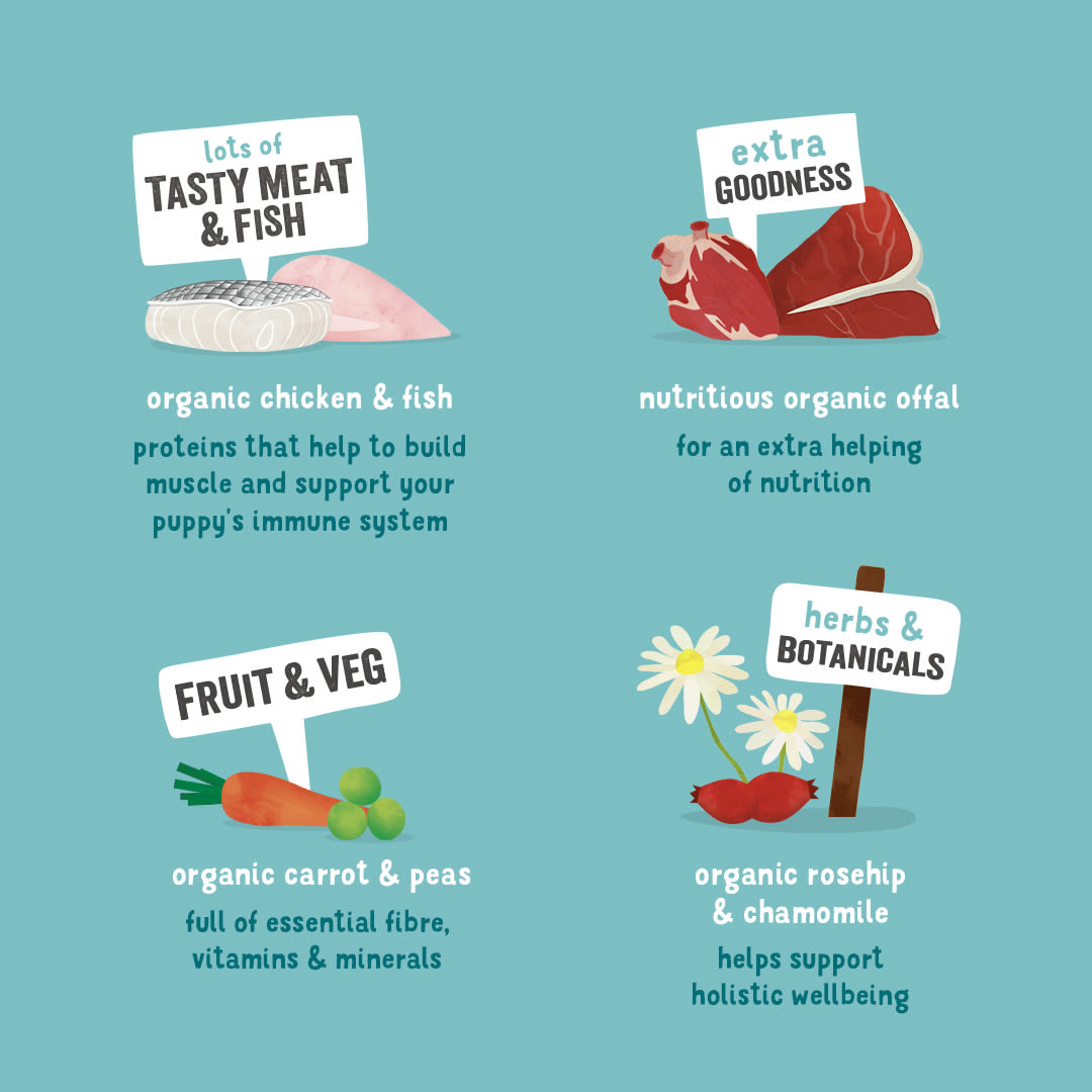 Edgard Cooper Grain Free Puppy Chicken & Fish Wet Dog Food