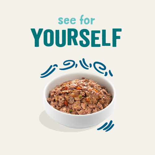 Edgard Cooper Grain Free Puppy Chicken & Fish Wet Dog Food